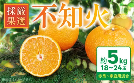 BK6013_庄助農園の不知火約5kg(18～24玉・厳選採果）