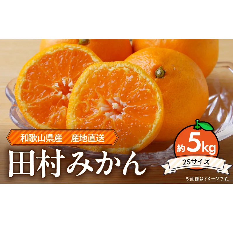ZE6486_Y_【直営限定】【２０２５年先行予約】和歌山 湯浅町産 田村みかん 5kg【2Sサイズ】