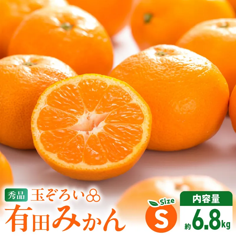 みかん Ｓサイズ 秀品 箱込 7.5kg ( 内容量 6.8kg ) 有田みかん 和歌山県産 産地直送 贈答用 【みかんの会】_MK1047