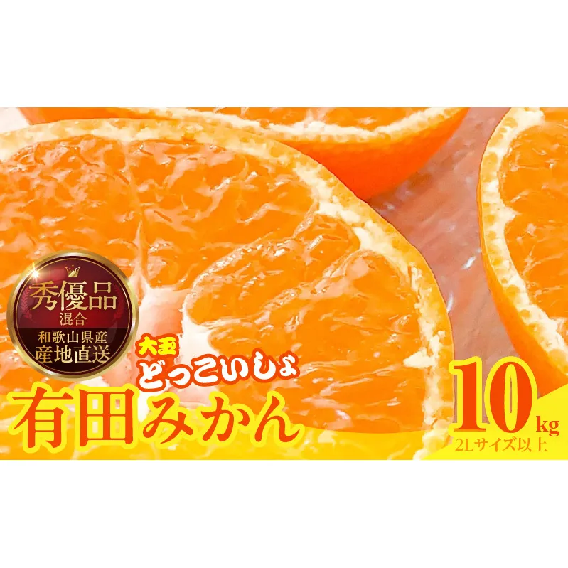 MK1034_【2025年先行予約】みかん 大玉 どっこいしょ 箱込 10kg ( 内容量 9.2kg ) 2Lサイズ以上 秀品 優品 混合 有田みかん 和歌山県産 産地直送 【みかんの会】