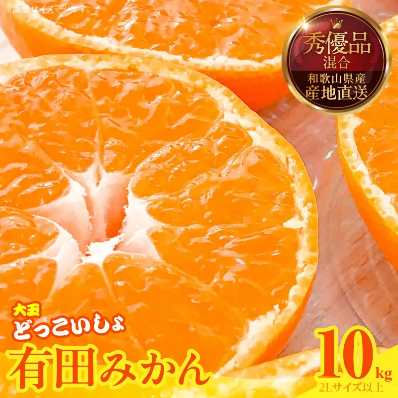 みかん 大玉 どっこいしょ 箱込 10kg ( 内容量 9.2kg ) 2Lサイズ以上 秀品 優品 混合 有田みかん 和歌山県産 産地直送 【みかんの会】_MK1034