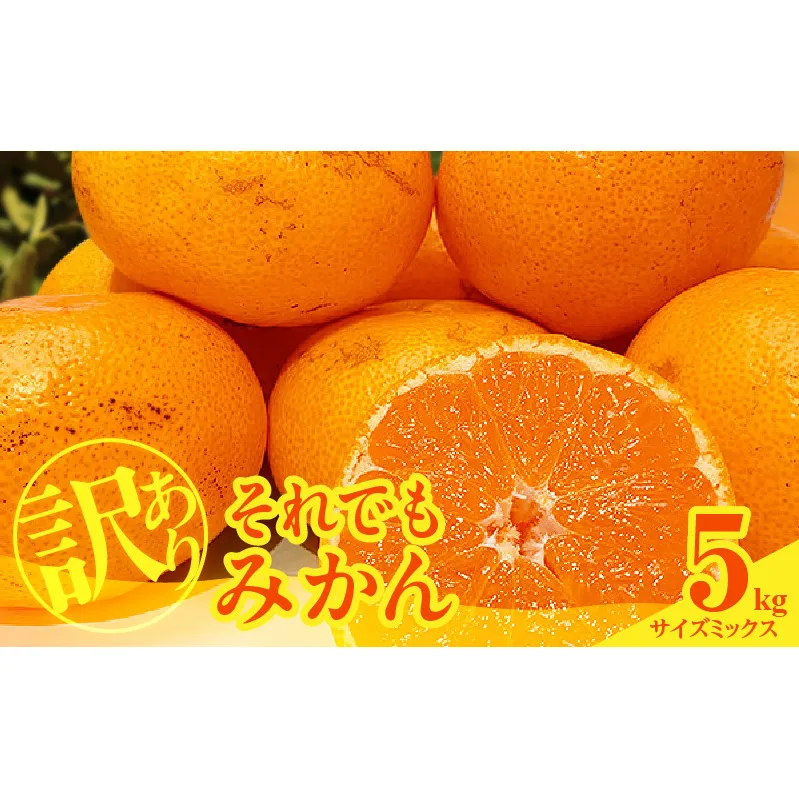 MK1035_【2025年先行予約】訳あり それでも みかん 箱込 5kg ( 内容量 4.4kg ) サイズミックス Ｂ品 有田みかん 和歌山県産 産地直送 家庭用【みかんの会】