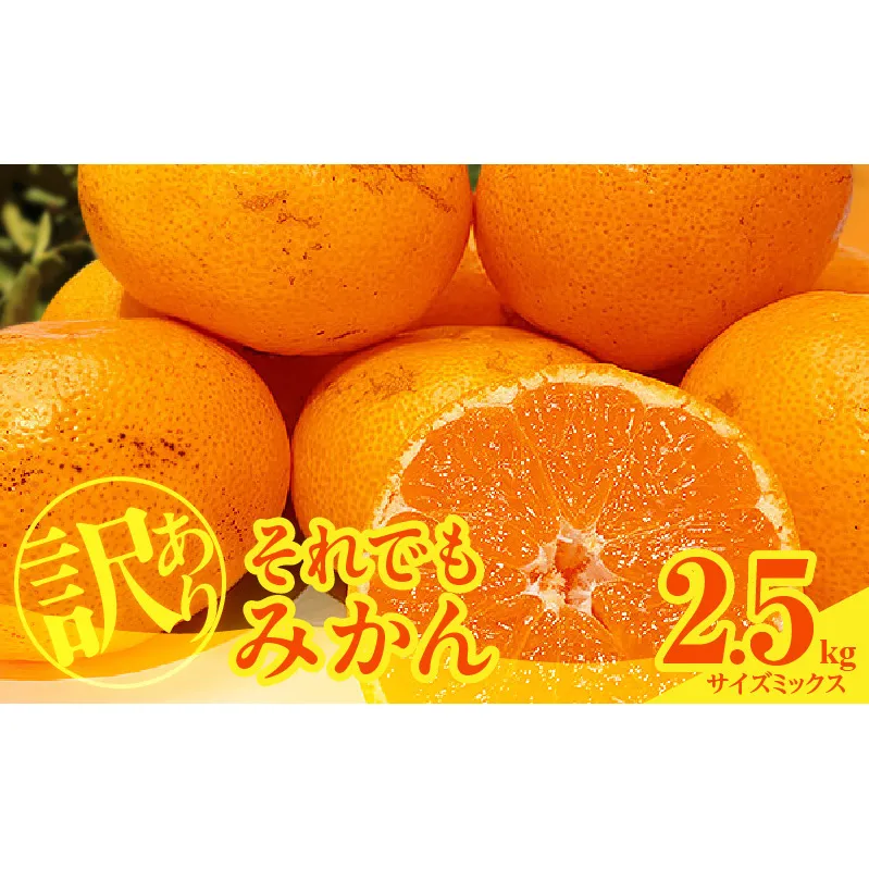 MK1048_【2025年先行予約】訳あり それでも みかん 箱込 2.5kg ( 内容量 2.3kg ) サイズミックス Ｂ品 有田みかん 和歌山県産 産地直送 家庭用【みかんの会】