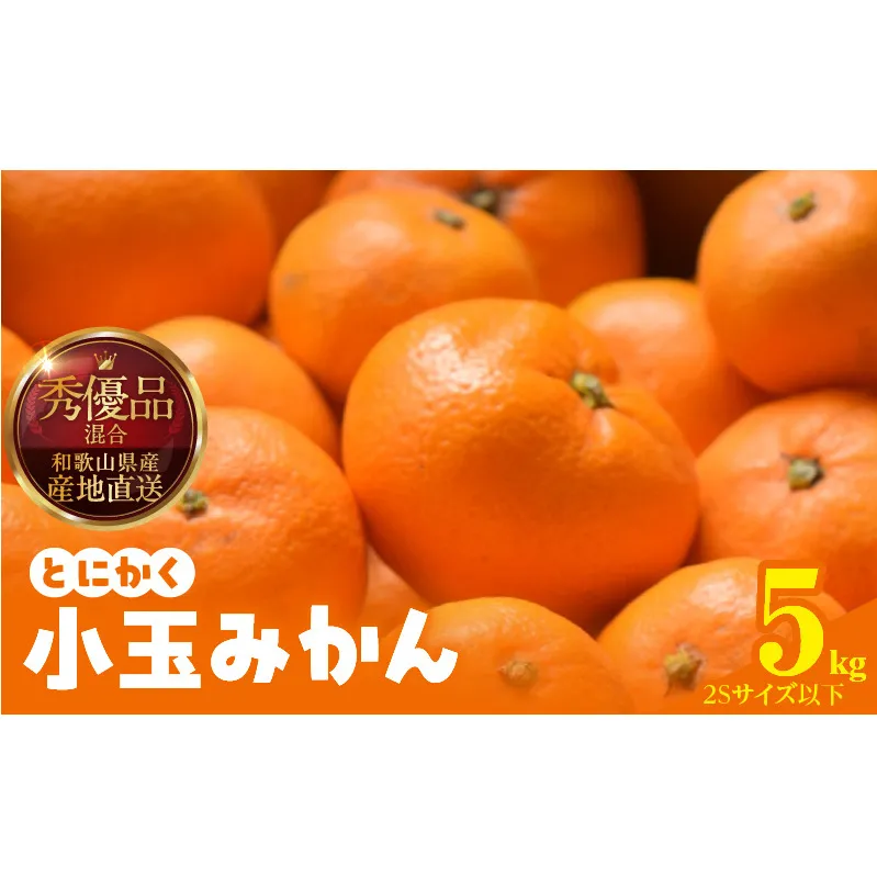 MK1040_【2025年先行予約】みかん とにかく 小玉 箱込 5kg ( 内容量 4.4kg ) 2Sサイズ以下 秀品 優品 混合 有田みかん 和歌山県産 産地直送 【みかんの会】