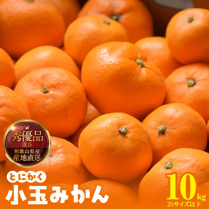 みかん とにかく 小玉 箱込 10kg ( 内容量 9.2kg ) 2Sサイズ以下 秀品 優品 混合 有田みかん 和歌山県産 産地直送 【みかんの会】_MK1041