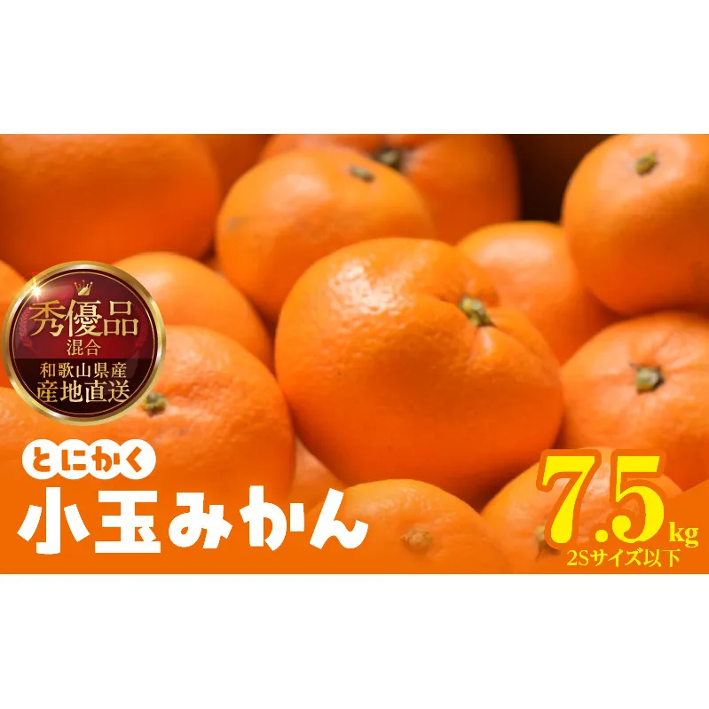 MK1052_【2025年先行予約】みかん とにかく 小玉 箱込 7.5kg ( 内容量 6.8kg ) 2Sサイズ以下 秀品 優品 混合 有田みかん 和歌山県産 産地直送 【みかんの会】