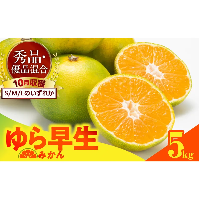 MK1056_ゆら早生 みかん 箱込 5kg ( 内容量 4.4kg ) S M Lサイズのいずれか 秀品 優品 混合 有田みかん 和歌山県産
