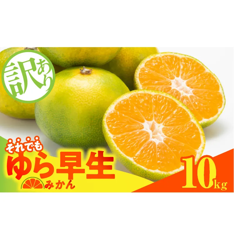 MK1066_【2025年先行予約】訳あり ゆら早生 みかん 箱込 10kg ( 内容量 9.2kg ) サイズミックス 有田みかん 和歌山県産