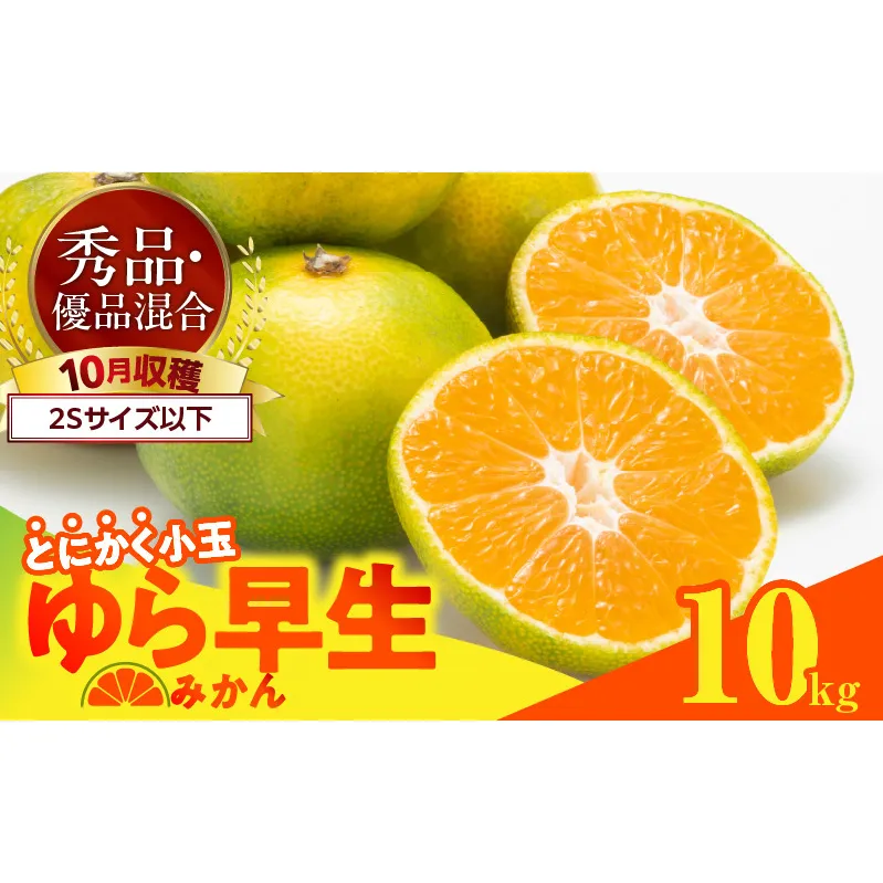 MK1058_【2025年先行予約】ゆら早生 みかん とにかく小玉 箱込 10kg ( 内容量9.2kg ) 2Sサイズ以下 秀優混合 有田みかん 和歌山県産