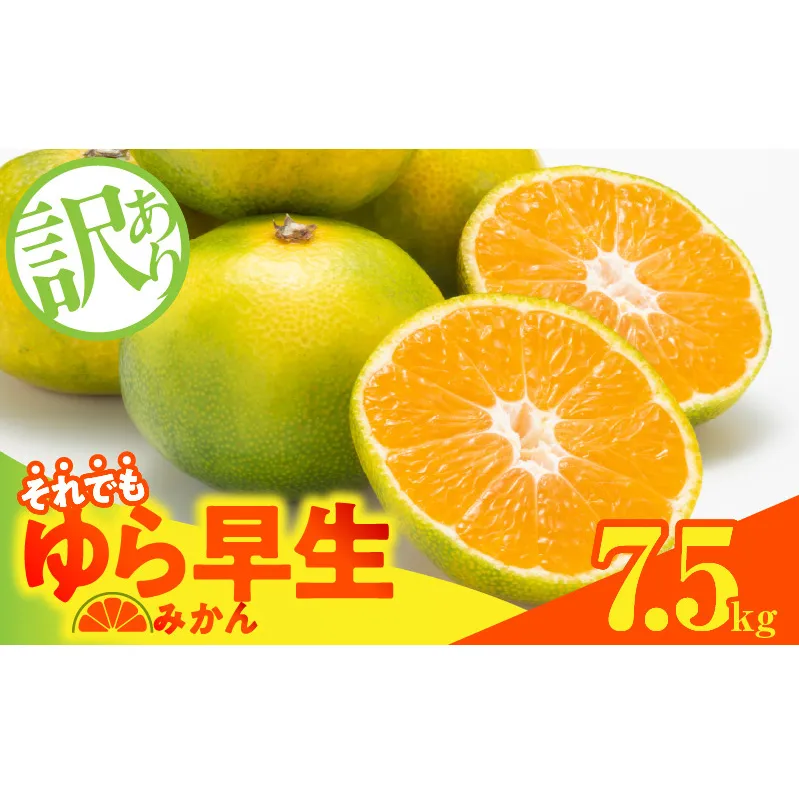MK1067_【2025年先行予約】訳ありゆら早生 みかん 箱込 7.5kg ( 内容量 6.8kg ) サイズミックス 有田みかん 和歌山県産