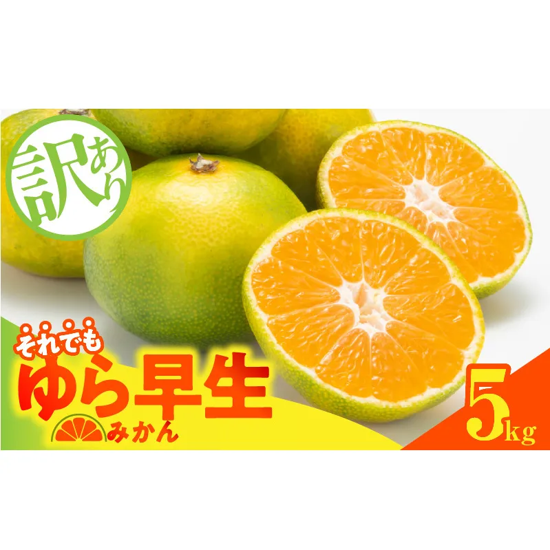 MK1068_【2025年先行予約】訳あり ゆら早生 みかん 箱込 5kg ( 内容量 4.4kg ) サイズミックス 有田みかん 和歌山県産