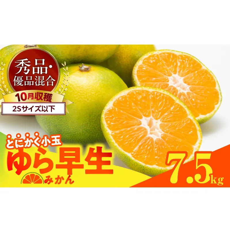 MK1059_【2025年先行予約】ゆら早生 みかん とにかく小玉 箱込 7.5kg ( 内容量6.8kg ) 2Sサイズ以下 秀優混合 有田みかん 和歌山県産