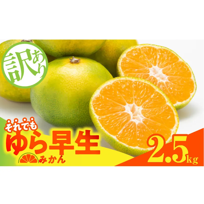 MK1069_【2025年先行予約】訳あり ゆら早生 みかん 箱込 2.5kg ( 内容量 2.3kg ) サイズミックス 有田みかん 和歌山県産