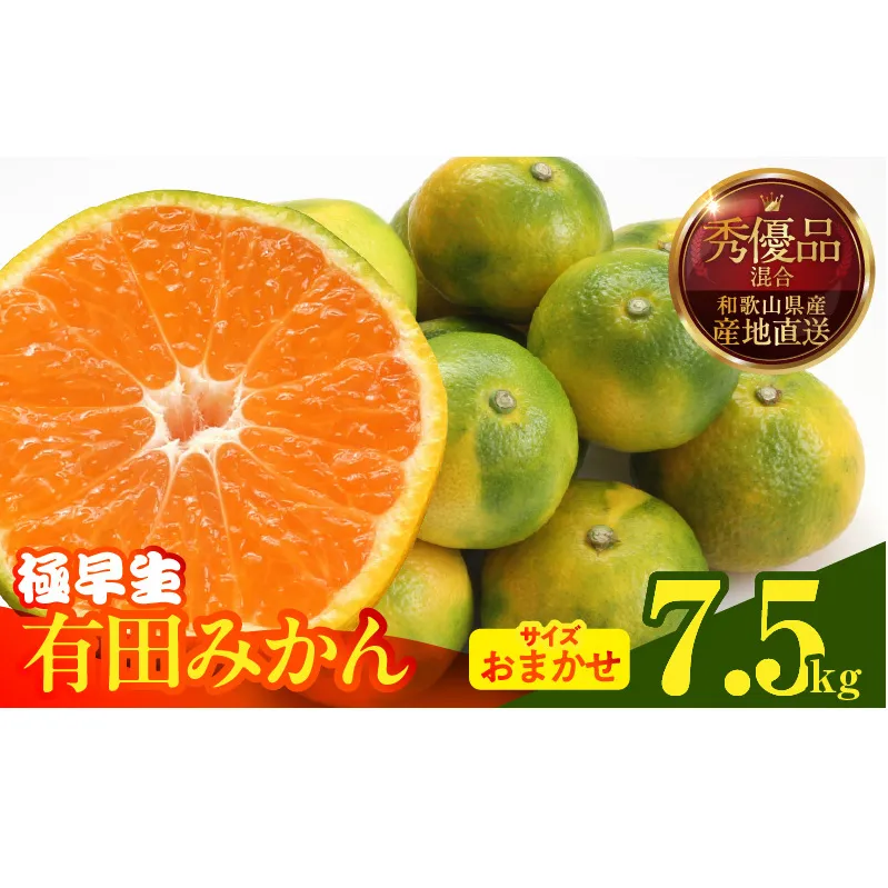 MK1071_【2025年先行予約】みかん 極早生 箱込 7.5kg ( 内容量6.8kg ) おまかせサイズ（S/M/L）秀品・優品 の混合 有田みかん 和歌山県産