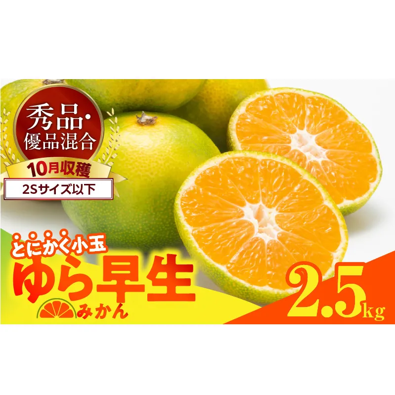 MK1061_【2025年先行予約】ゆら早生 みかん とにかく小玉 箱込 2.5kg ( 内容量2.3kg ) 2Sサイズ以下 秀優混合 有田みかん 和歌山県産