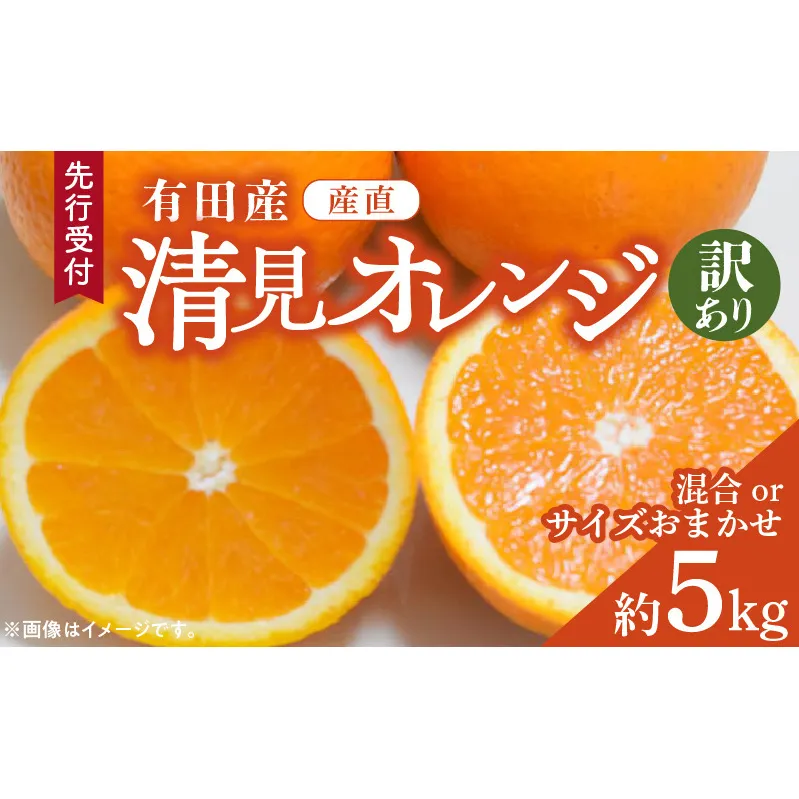 ZD92071_【2026年先行予約】【産直】有田産清見オレンジ 約5kg（訳あり家庭用サイズおまかせまたは混合）