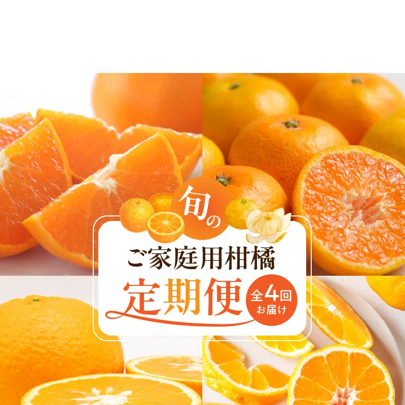 G60-T98_【発送月固定定期便】紀州和歌山産旬のご家庭用柑橘セット(みかん・不知火・せとか・清見)全4回