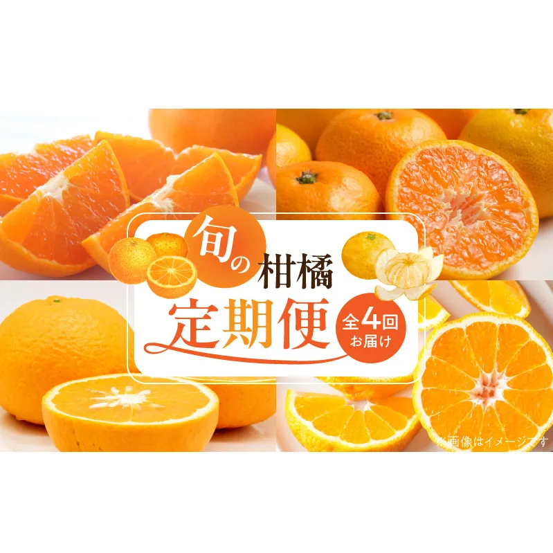 G60-T99_【定期便 全4回】紀州和歌山産旬の柑橘セット(みかん・不知火・せとか・清見)全4回