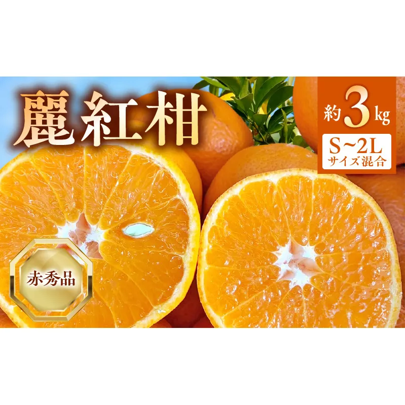 BF6062_（2026年先行受付）麗紅柑 (れいこう) 赤秀品 S～2Lサイズ 3kg 和歌山有田産