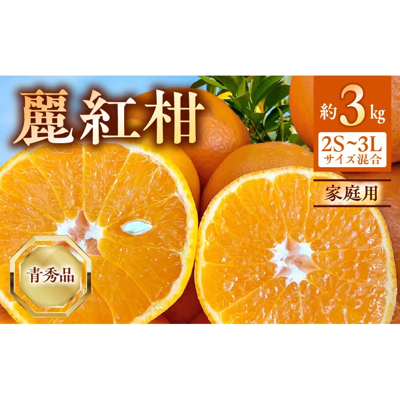 BF6063_（2026年先行受付）麗紅柑 (れいこう) 青秀品 (家庭用) 2S～3Lサイズ 3kg 和歌山有田産