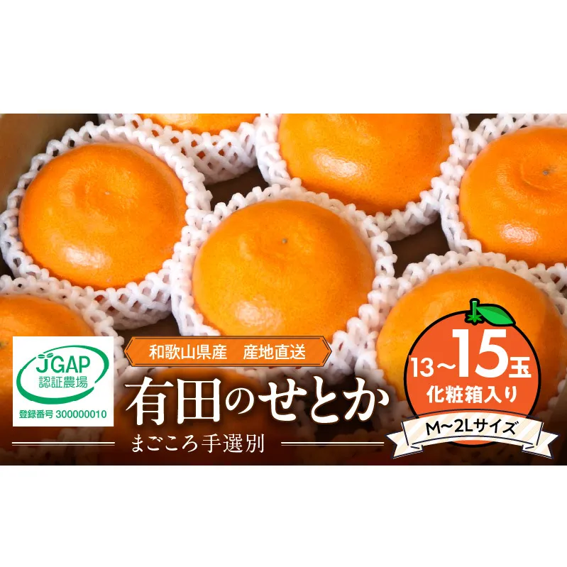 ZE6497_【2026年先行予約】【まごころ手選別】　せとか　化粧箱入り　(13～15玉)