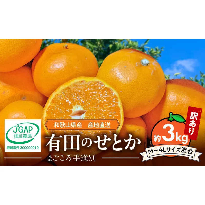 ZE6498_【2026年先行予約】【まごころ手選別】　せとか　約3kg　家庭用