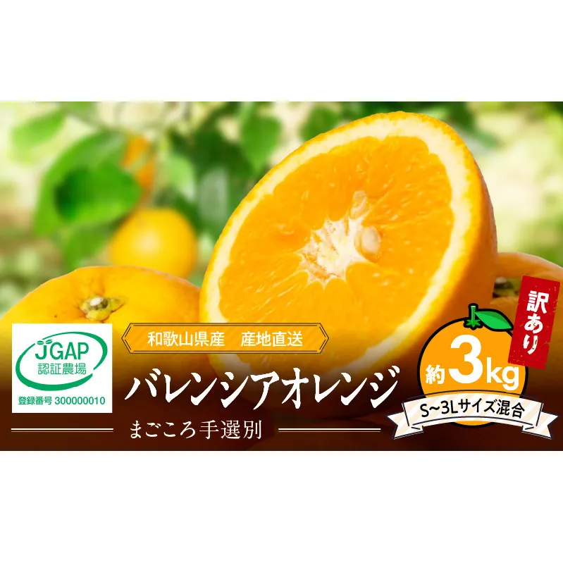 ZE6508_【2026年先行予約】和歌山県産 バレンシアオレンジ 3kg 家庭用