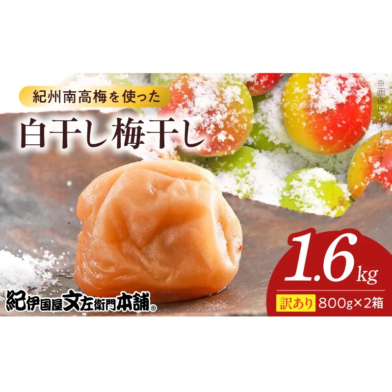 V7469_【800g×2箱セット】【ご家庭用】訳あり白干し梅干し 計1.6Kg 紀州南高梅 和歌山県産/紀伊国屋文左衛門本舗 うめぼし 南高梅