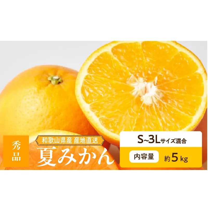 ZE6505_【2026年先行予約】和歌山県産　夏みかん　5kg　秀品