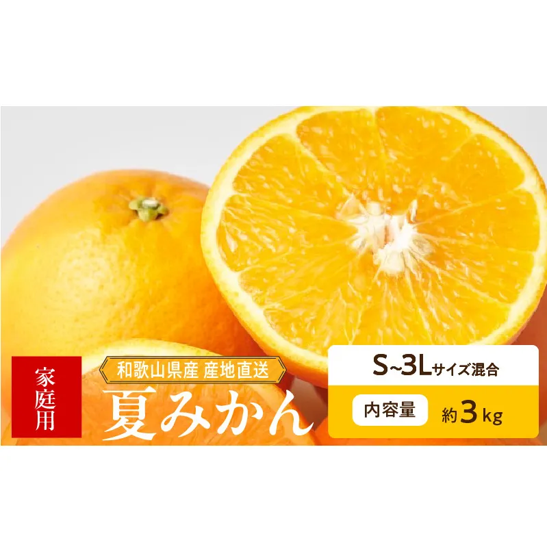 ZE6506_【2026年先行予約】和歌山県産　夏みかん　3kg　家庭用