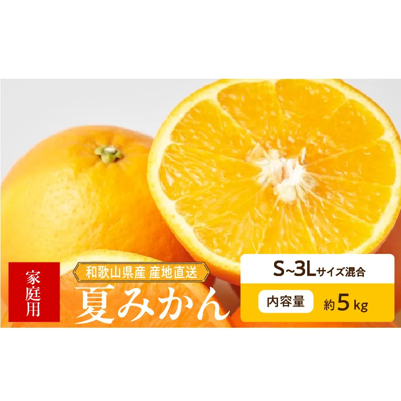 ZE6507_【2026年先行予約】和歌山県産　夏みかん　5kg　家庭用