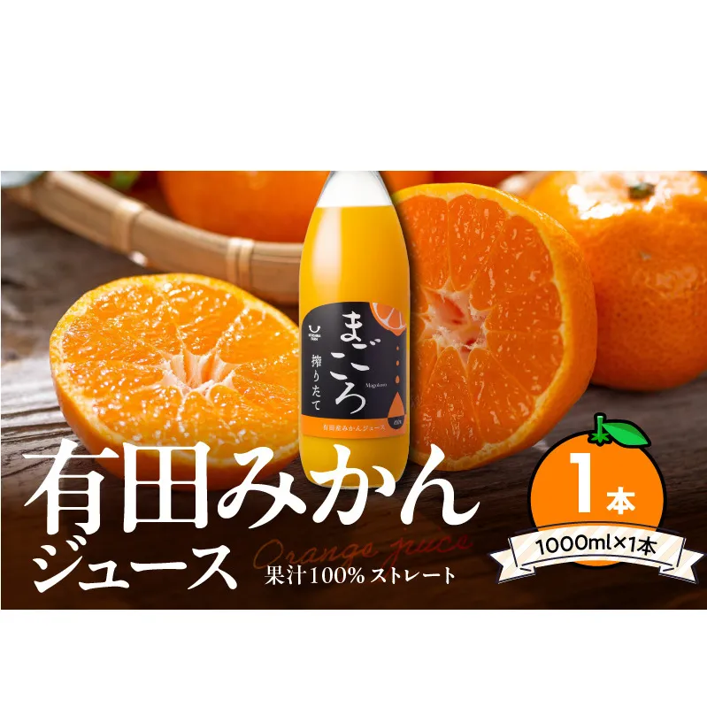 ZE6448_「まごころ」有田みかん 100％ ジュース 1000ml 1本