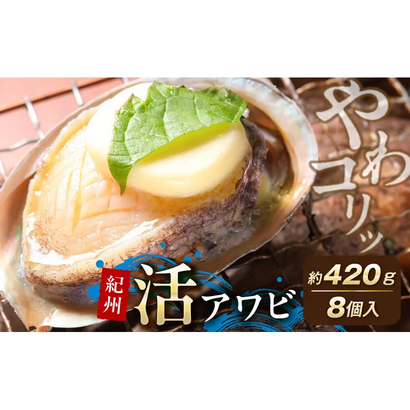 YG1003_やわコリ食感紀州活アワビ【8個入】 約420g
