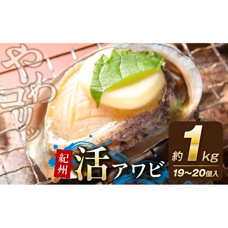 YG1005_やわコリ食感紀州活アワビ【19～20個入】 約1000g