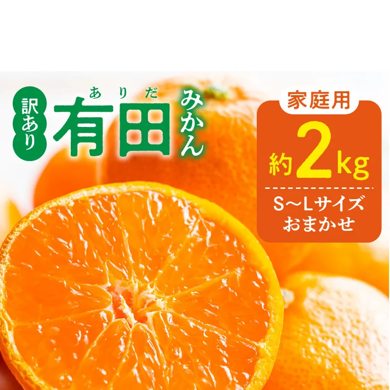 DZ6100_11_【2026年11月発送】ご家庭用 有田みかん 和歌山 S～Lサイズ 大きさお任せ 約2kg