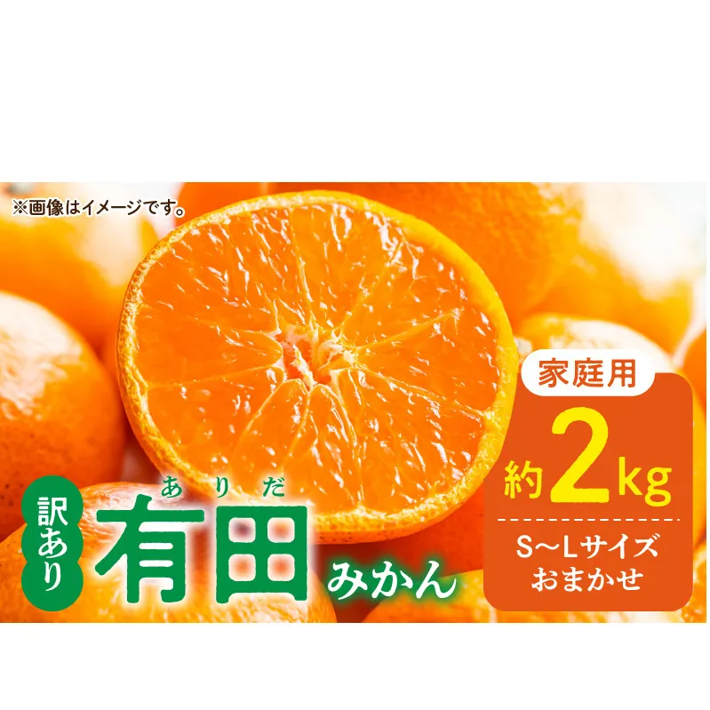 DZ6100_01_【2026年1月発送】ご家庭用 有田みかん 和歌山 S～Lサイズ 大きさお任せ 約2kg