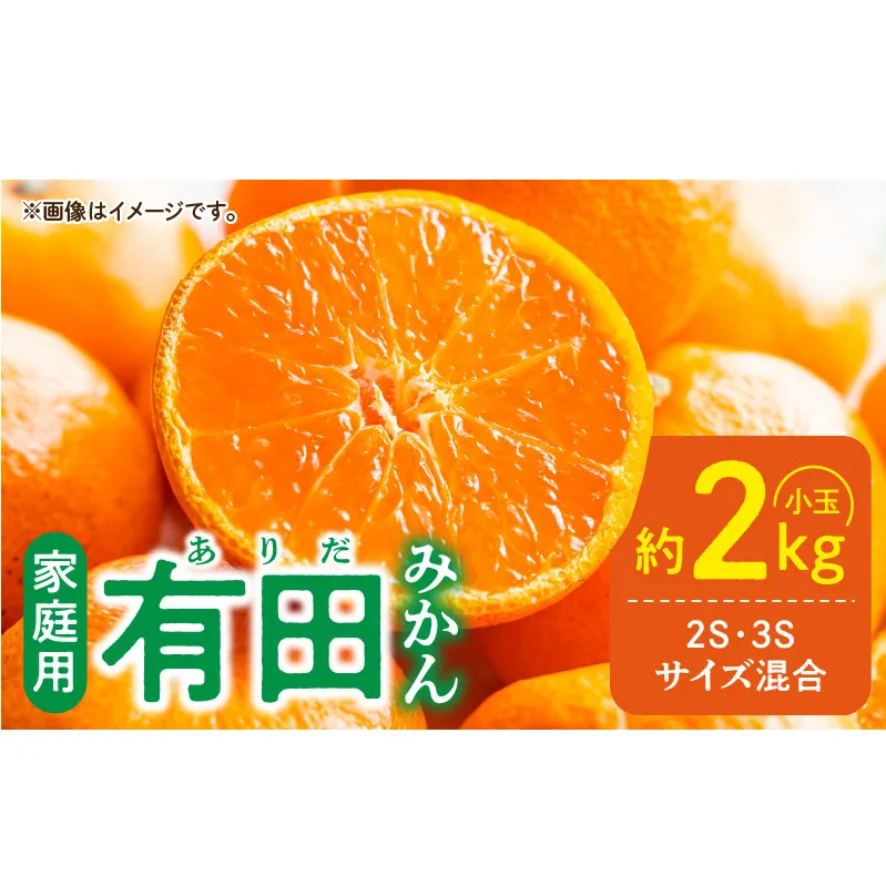 DZ6220_家庭用 有田みかん 和歌山 小玉(2S,3Sサイズ混合) 約2kg