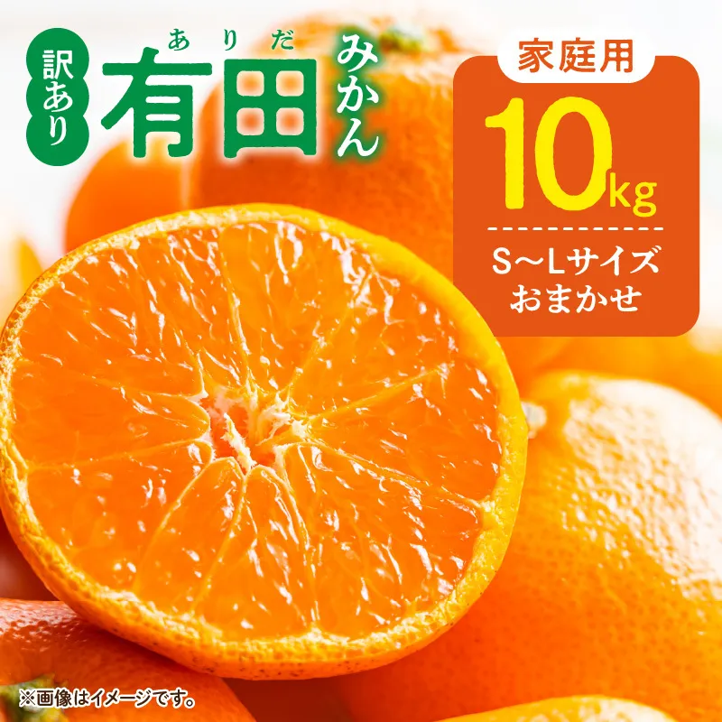 DZ6201_01_【2027年1月発送】ご家庭用 有田みかん 和歌山 S～Lサイズ 大きさお任せ 約10kg