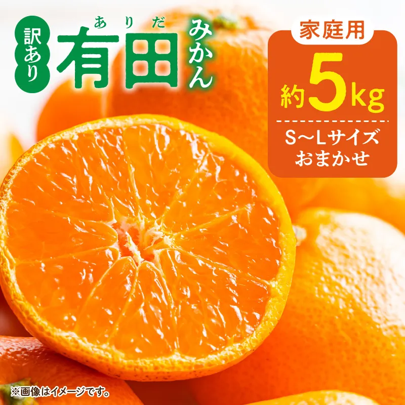 DZ6202_11_【2026年11月発送】ご家庭用 有田みかん 和歌山県産 S～Lサイズ 大きさお任せ 約5kg