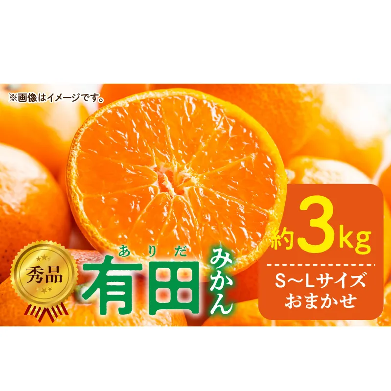 DZ6009n_01_【2026年1月発送】秀品 有田みかん 和歌山県産 S～Lサイズ 大きさお任せ 約3kg