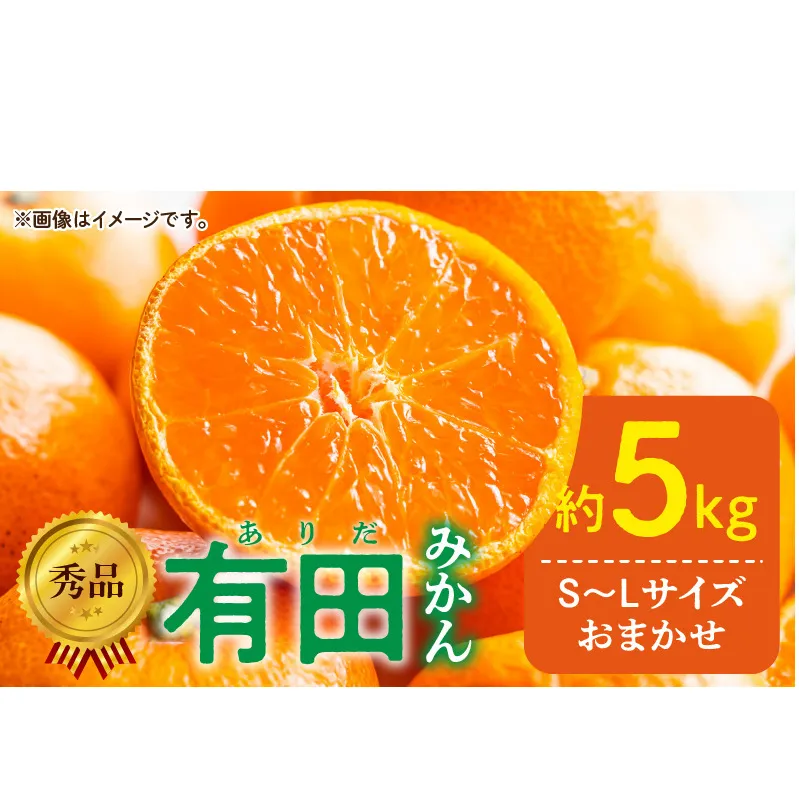 DZ6013n_01_【2027年1月発送】秀品 有田みかん 和歌山県産 S～Lサイズ 大きさお任せ 約5kg