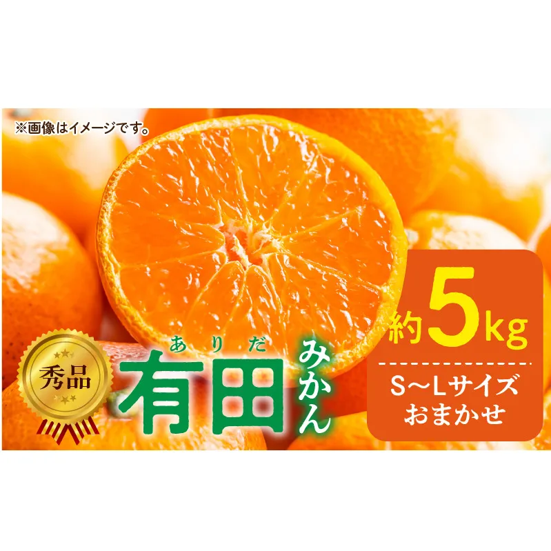 DZ6013n_11_【2026年11月発送】秀品 有田みかん 和歌山県産 S～Lサイズ 大きさお任せ 約5kg
