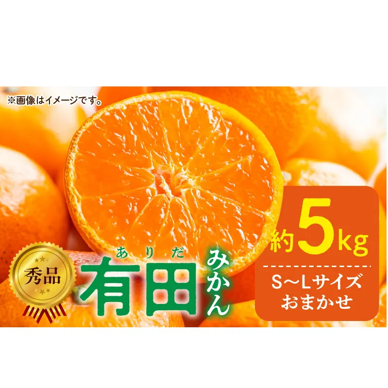 DZ6013n_12_【2026年12月発送】秀品 有田みかん 和歌山県産 S～Lサイズ 大きさお任せ 約5kg
