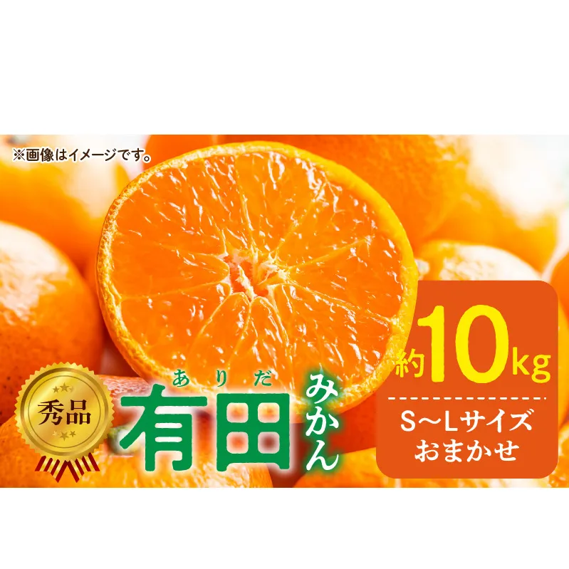 DZ6200_11_【2026年11月発送】秀品 有田みかん 和歌山県産 S～Lサイズ 大きさお任せ  約10kg