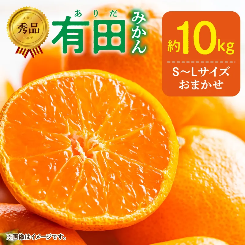 【2026年11月発送】秀品 有田みかん 和歌山県産 S～Lサイズ 大きさお任せ  約10kg_DZ6200_11