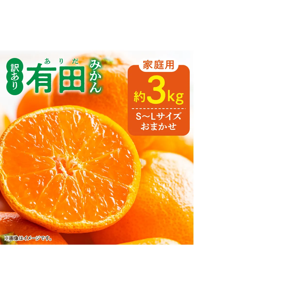 DZ6203_12_【2026年12月発送】ご家庭用 有田みかん 和歌山県産  S～Lサイズ 大きさお任せ 約3kg