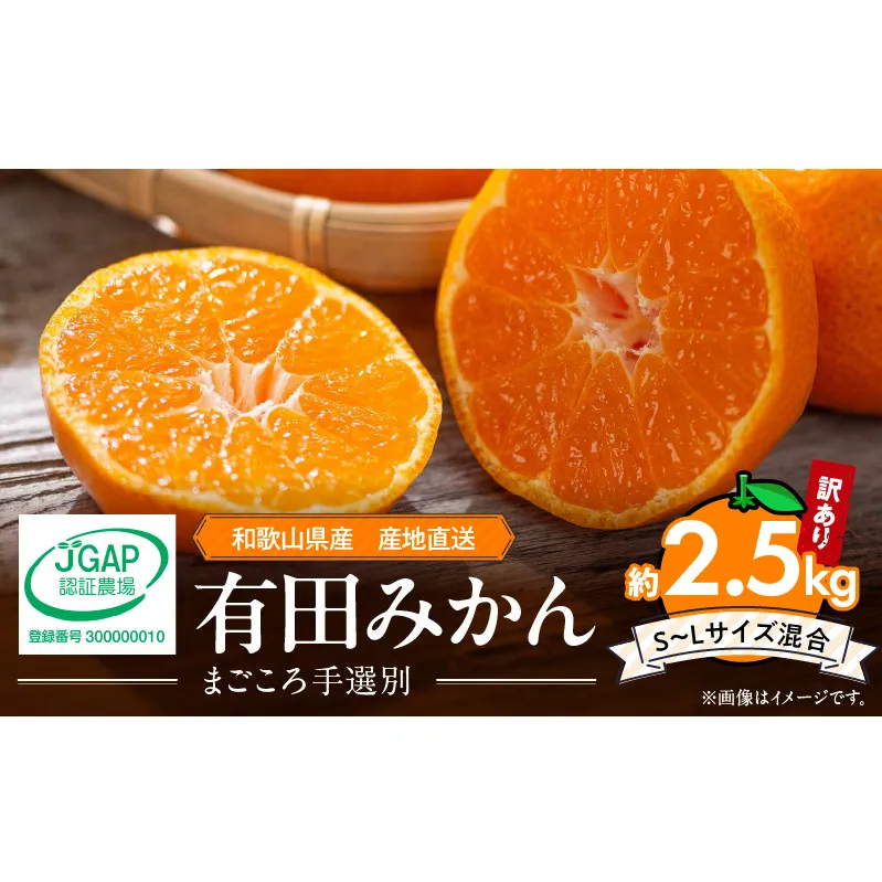 ZE6480_有田みかん 約2.5kg 【家庭用】 (S~Lサイズ混合)【まごころ手選別】