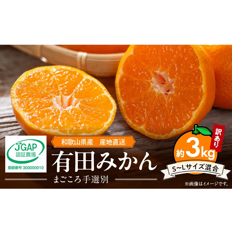ZE6481_有田みかん 約3kg 【家庭用】 (S~Lサイズ混合)【まごころ手選別】