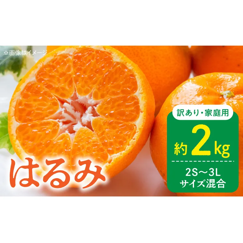 DZ6219_【2026年先行予約】訳あり 家庭用 はるみ 和歌山 有田 2S~3Lサイズ混合 約2kg