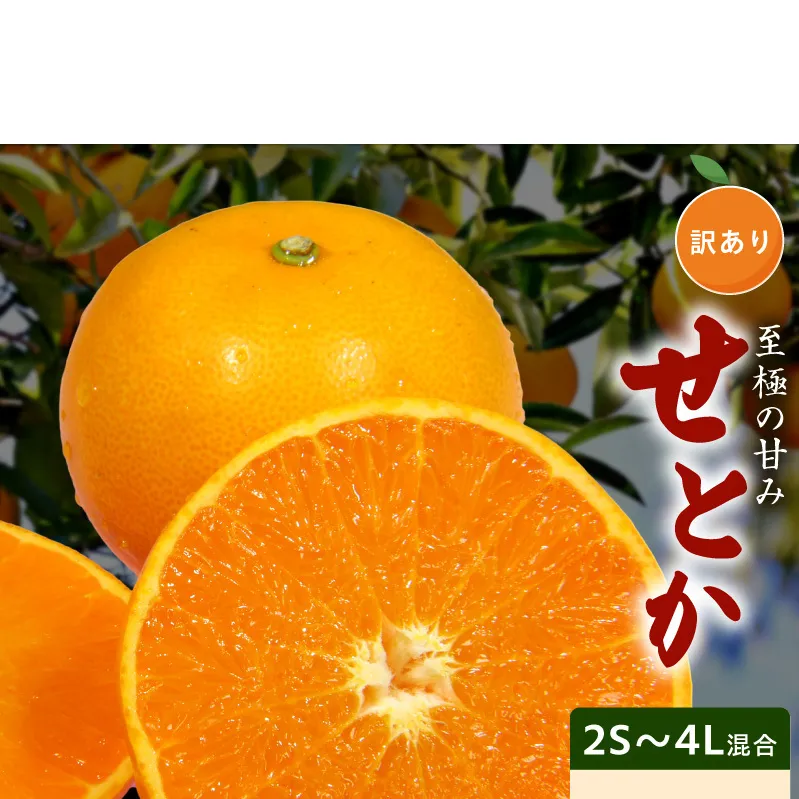 DZ6230_【2027年先行予約】訳あり せとか 和歌山 有田 2S～4Lサイズ混合 約2kg